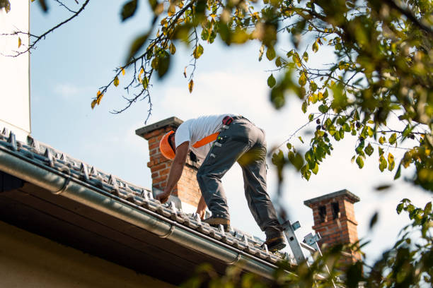 Best Chimney Flashing Repair  in North Druid Hills, GA