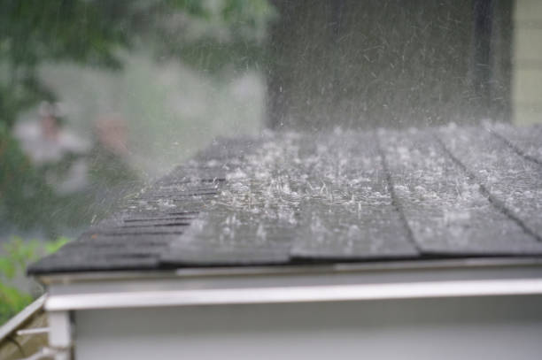 Best 4 Ply Roofing  in North Druid Hills, GA